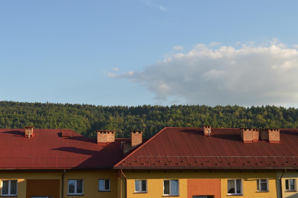 Apartament Ustrzyki ウストシキ・ドルネ エクステリア 写真